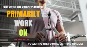 Tricep Rope Pulldown: Target Muscles and Workout Benefits Explained