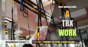 TRX Workout Benefits: Targeted Muscles and Full-Body Strength Training