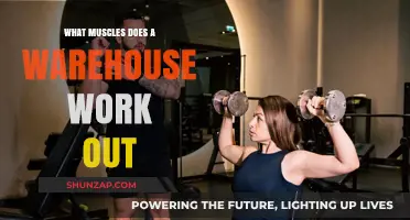 Warehouse Workouts: Muscles Strengthened and Toned on the Job