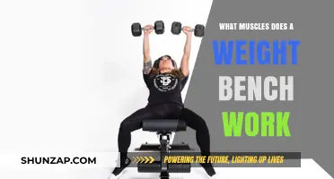 Weight Bench Workout: Targeting Key Muscles for Strength and Tone