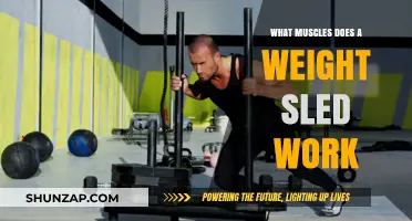 Weight Sled Workout: Target Muscles and Full-Body Benefits Explained
