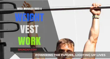 Weight Vest Workout Benefits: Targeted Muscles and Strength Training Explained