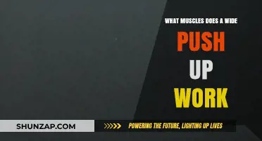 Wide Push-Ups: Targeted Muscles and Benefits Explained