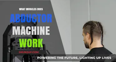 Abductor Machine Muscles: Targeted Workout for Stronger Hips and Glutes