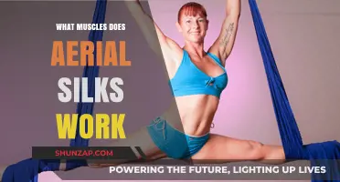 Aerial Silks Muscles: Strengthening Core, Upper Body, and Flexibility