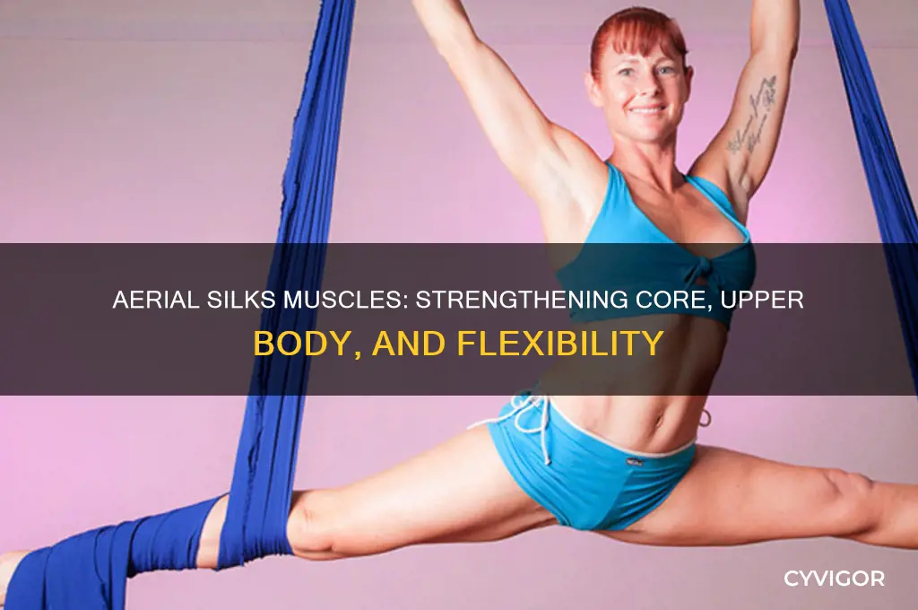 what muscles does aerial silks work