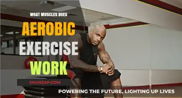 Aerobic Exercise: Target Muscles and Full-Body Benefits Explained