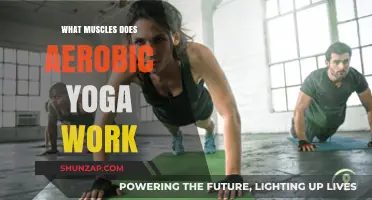 Aerobic Yoga Benefits: Targeted Muscles and Full-Body Workout Explained