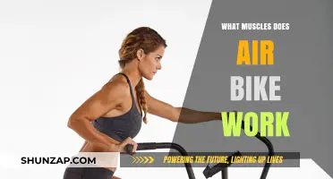 Air Bike Workout: Targeting Muscles for Full-Body Fitness Results
