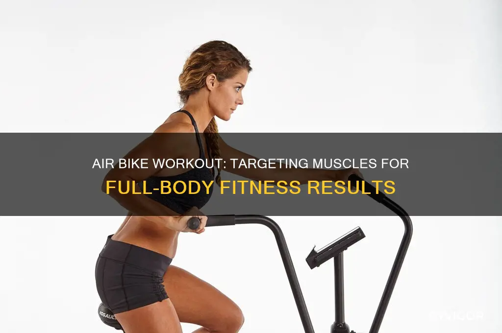 what muscles does air bike work