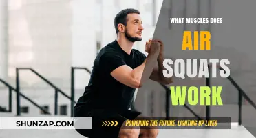 Air Squats: Target Muscles and Full-Body Benefits Explained