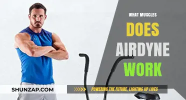 Airdyne Workout Benefits: Targeted Muscles and Full-Body Fitness Explained