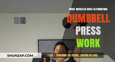 Alternating Dumbbell Press: Target Muscles and Benefits Explained