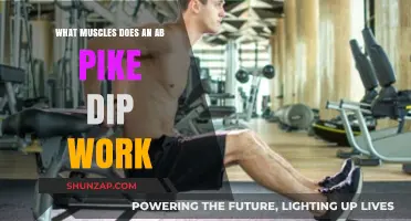 Ab Pike Dip: Targeted Muscles and Benefits Explained