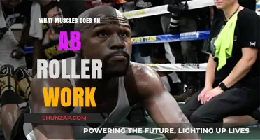 Ab Roller Workout: Targeted Muscles and Core Strength Benefits