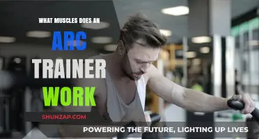 Arc Trainer Benefits: Target Muscles and Full-Body Workout Explained