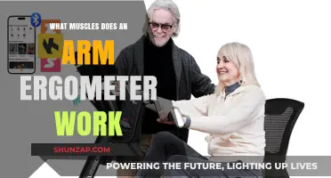 Arm Ergometer Workout: Targeted Muscles and Benefits Explained