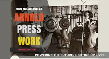 Arnold Press Muscles: Targeted Upper Body Strength and Definition