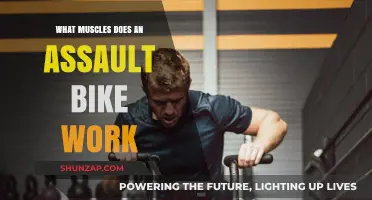 Assault Bike Workout: Target Muscles and Full-Body Benefits Explained