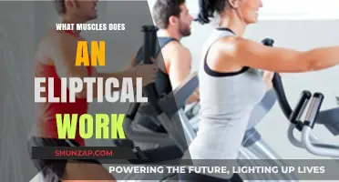 Elliptical Workout Benefits: Target Muscles and Full-Body Engagement Explained
