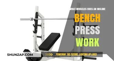 Incline Bench Press: Target Muscles and Strength Benefits Explained