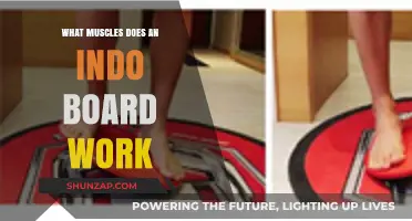 Indo Board Muscles: Core, Balance, and Stability Training Benefits