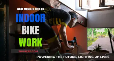 Indoor Cycling Benefits: Targeted Muscles for a Full-Body Workout