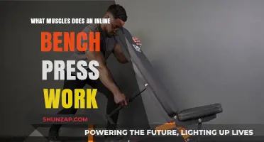 Inline Bench Press Muscles: Targeted Chest, Shoulders, and Triceps Workout