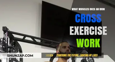 Iron Cross Workout: Targeted Muscles and Strength Benefits Explained