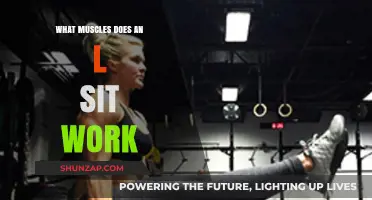 L-Sit Workout: Targeted Muscles and Strength Benefits Explained