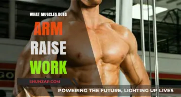 Arm Raise Workout: Targeted Muscles and Strengthening Benefits Explained