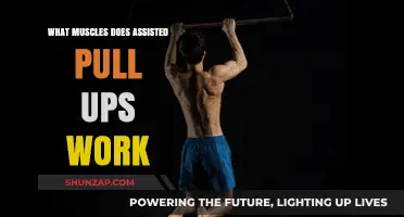 Assisted Pull-Ups: Targeted Muscles and Strength-Building Benefits Explained