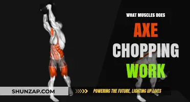 Axe Chopping Workout: Target Muscles and Strength Benefits Explained