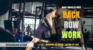 Back Row Benefits: Muscles Targeted and Strengthened by This Exercise