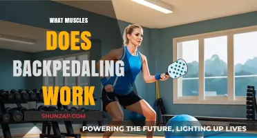 Backpedaling Benefits: Targeted Muscles and Full-Body Engagement Explained