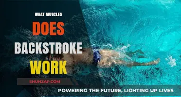 Backstroke Benefits: Targeted Muscles and Full-Body Strengthening Explained