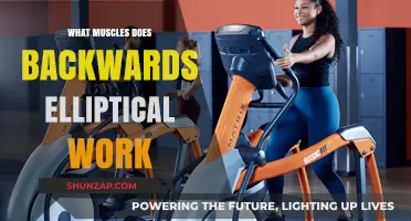 Backwards Elliptical Benefits: Targeted Muscles and Full-Body Workout Explained