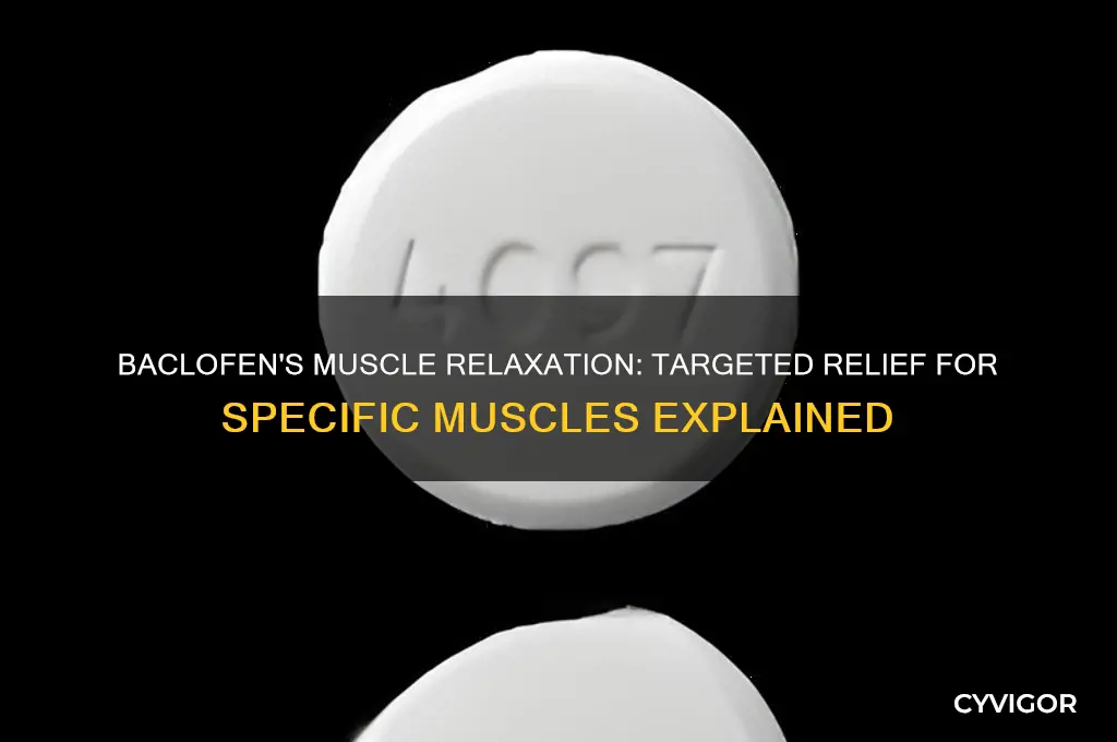 what muscles does baclofen relax