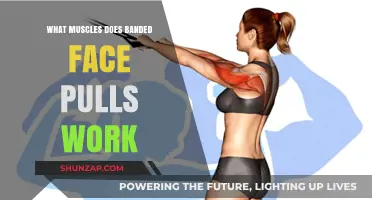 Targeted Muscles: How Banded Face Pulls Enhance Your Upper Body Strength