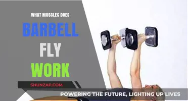 Barbell Fly Muscles: Targeted Chest, Shoulders, and Triceps Activation Explained