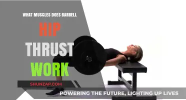 Barbell Hip Thrust: Target Muscles and Benefits Explained