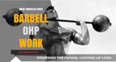 Barbell Overhead Press: Targeted Muscles and Strength Benefits Explained