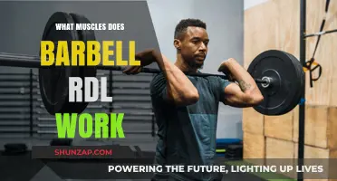 Barbell RDL Muscles: Targeted Strength Training for Lower Body Power
