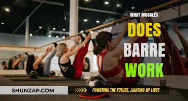 Barre Benefits: Targeted Muscles for Strength, Tone, and Flexibility