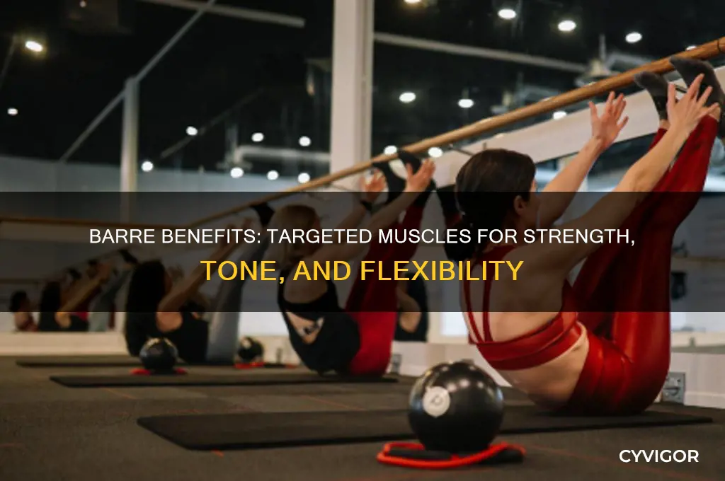 what muscles does barre work