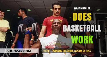 Basketball's Full-Body Workout: Muscles Engaged in Every Dribble and Shot