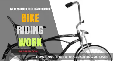 Beach Cruiser Bike Riding: Muscles Worked and Fitness Benefits