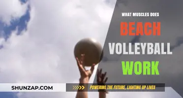 Beach Volleyball Workout: Targeted Muscles for Strength and Agility