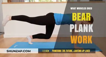 Bear Plank Benefits: Targeted Muscles and Core Strength Explained