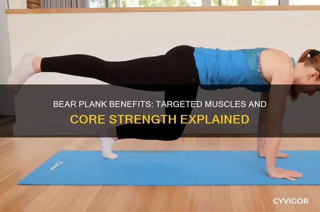 Bear Plank Benefits Targeted Muscles And Core Strength Explained CyVigor
